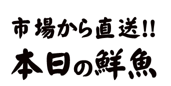 市場から直送！！本日の鮮魚