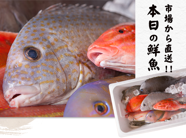 市場から直送！！本日の鮮魚